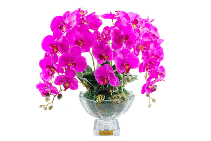 côte noire Cote Noire Luxury Orchid Centrepiece Bouquet - Fuchsia & Gold Badge - CPO09