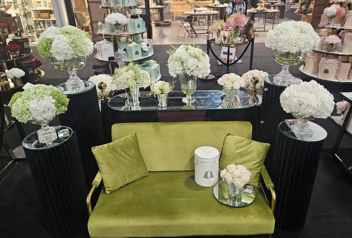 Côte Noire ** NEW ** Grand Summer Hydrangea White - GSH01