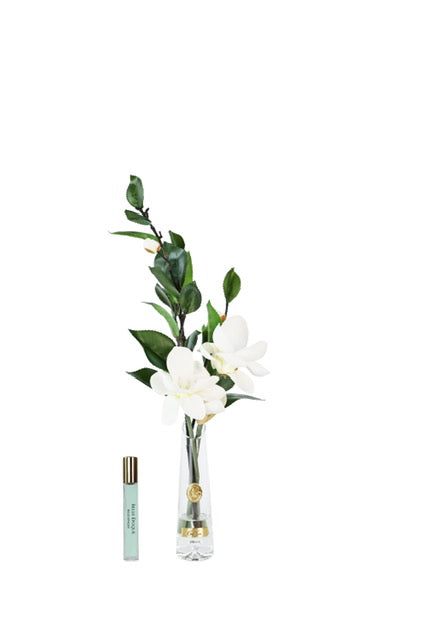 Côte Noire ** NEW ** Summer Magnolia - White & Gold - SMG01