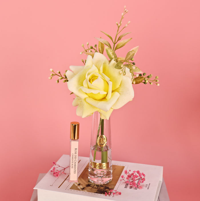 Côte Noire ** NEW ** Summer Rose Yellow - Gold Badge - SRG08