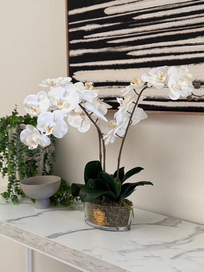 Côte Noire Cote Noire Orchid Bouquet - White & Gold Badge - OOV01