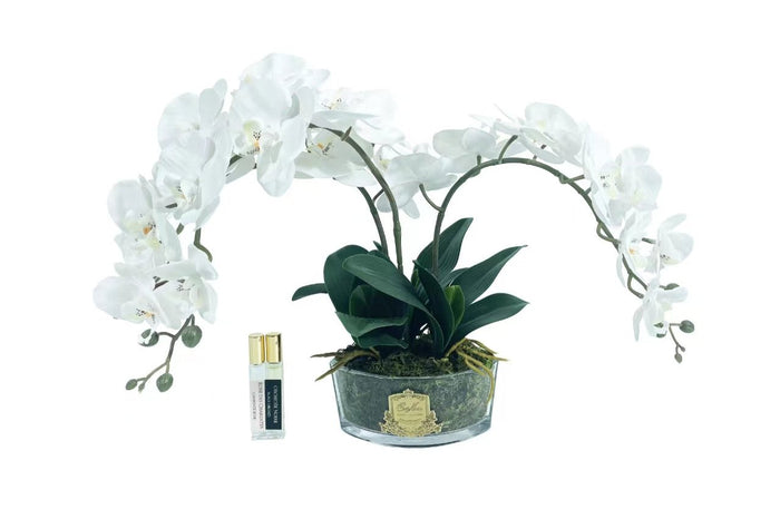 côte noire Cote Noire Orchid Bouquet - White & Gold Badge - OOV01