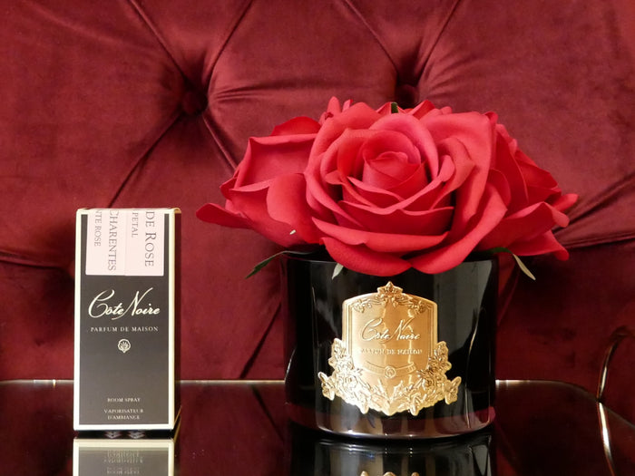 Côte Noire Cote Noire Perfumed Natural Touch 5 Roses - Black - Red - GMRB64