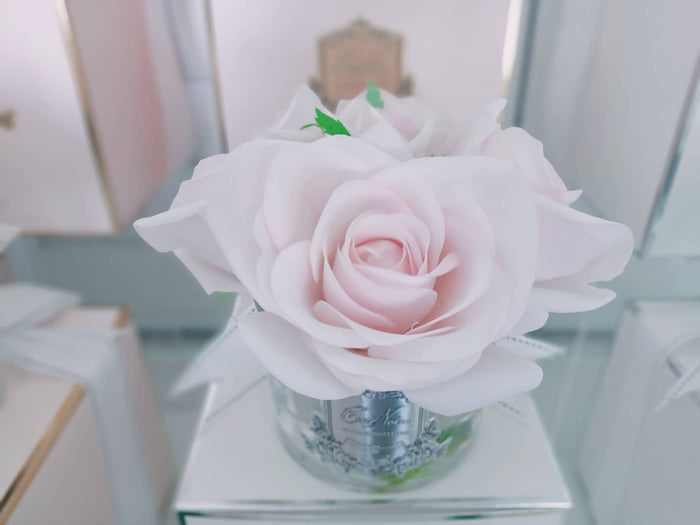 Côte Noire Cote Noire Perfumed Natural Touch 5 Roses - Clear - French Pink - GMR66