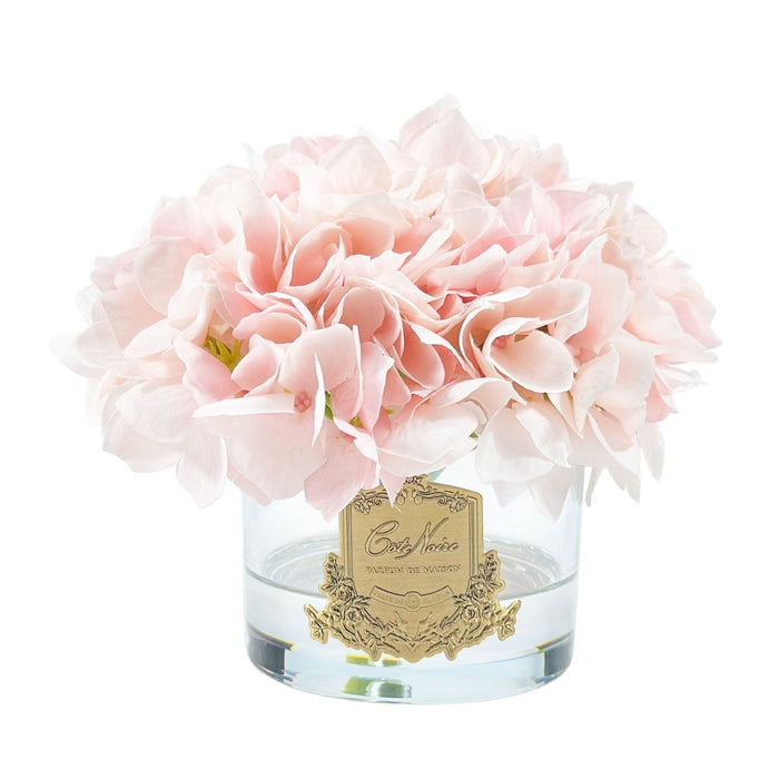 Côte Noire Cote Noire Perfumed Natural Touch Hydrangeas - Pink Blush - Pink Box - GMH88