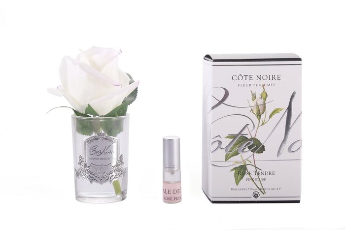 côte noire Cote Noire Perfumed Natural Touch Rose Bud - Clear - Pink Blush - GMR42