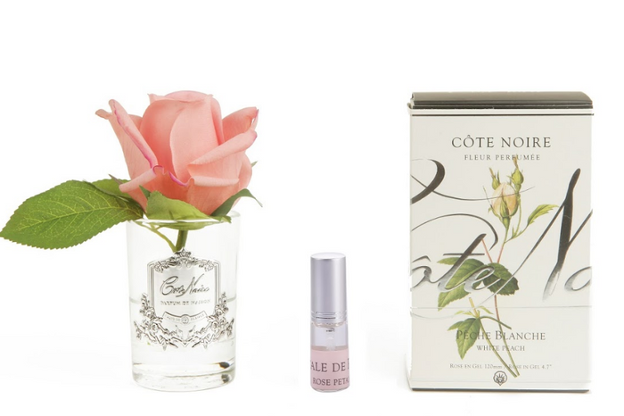 côte noire Cote Noire Perfumed Natural Touch Rose Bud - Clear - Peach - GMR45