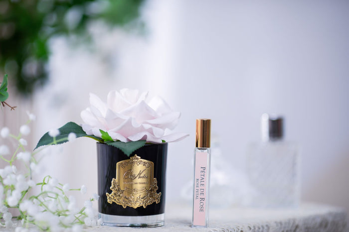 Côte Noire Cote Noire Perfumed Natural Touch Single Rose - Black - French Pink - GMRB06