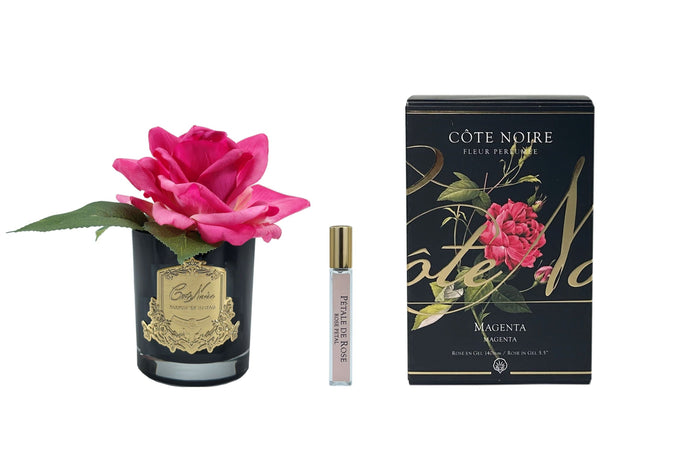 côte noire Cote Noire Perfumed Natural Touch Single Rose - Black - Magenta - GMRB07
