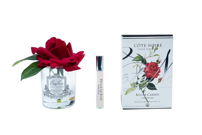 côte noire Cote Noire Perfumed Natural Touch Single Rose - Clear - Red - GMR04