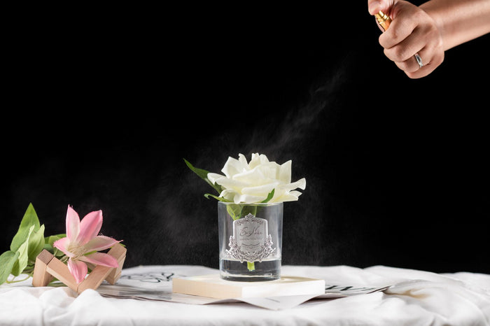 Côte Noire Cote Noire Perfumed Natural Touch Single Rose - Clear - White - GMR01