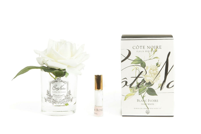 côte noire Cote Noire Perfumed Natural Touch Single Rose - Clear - White - GMR01