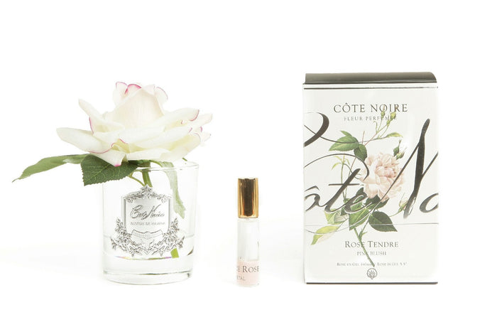 côte noire Cote Noire Perfumed Natural Touch Single Rose - Clear - Pink Blush - GMR02