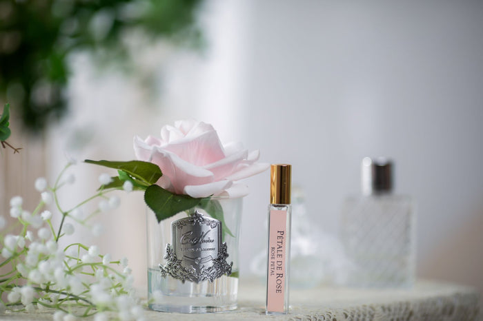 Côte Noire Cote Noire Perfumed Natural Touch Single Rose - Clear - French Pink - GMR06