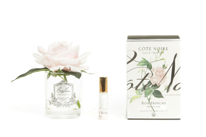 côte noire Cote Noire Perfumed Natural Touch Single Rose - Clear - French Pink - GMR06