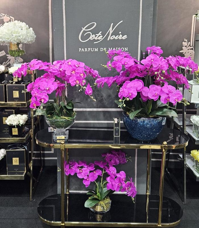 Côte Noire ** NEW ** Cote Noire Orchid Bouquet - Fuchsia & Gold Badge - OOV09