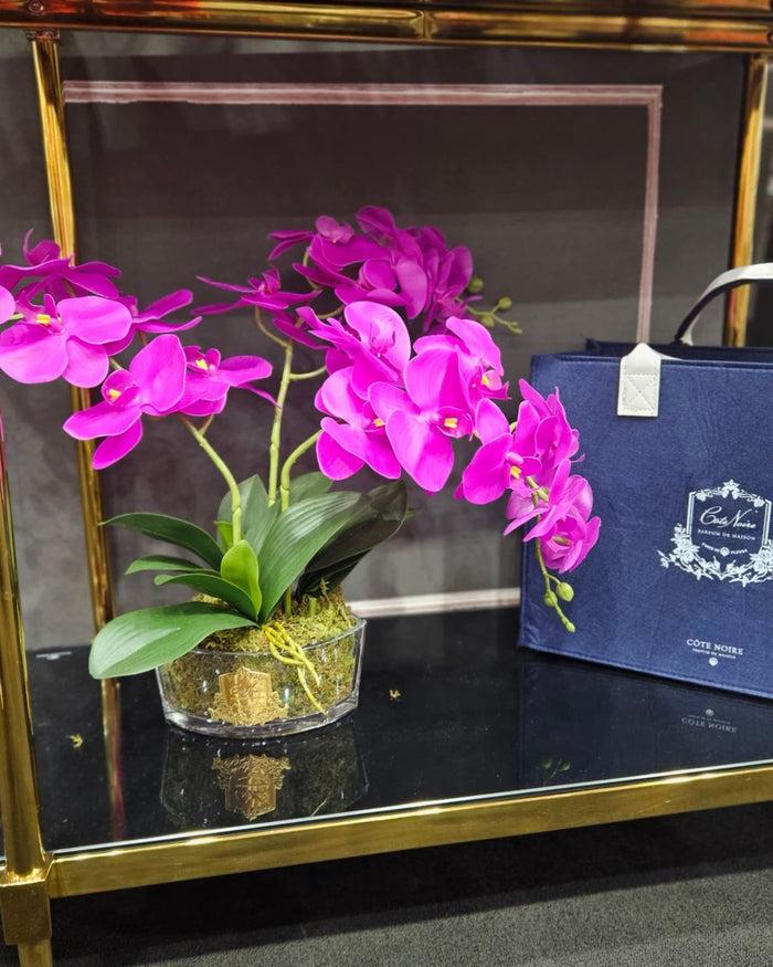 Côte Noire ** NEW ** Cote Noire Orchid Bouquet - Fuchsia & Gold Badge - OOV09