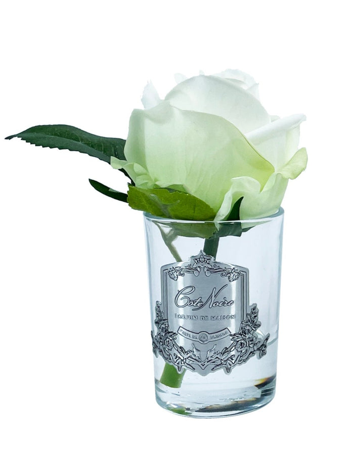 Côte Noire **NEW** Cote Noire Perfumed Natural Touch Rose Bud - Clear - Green - GMR49