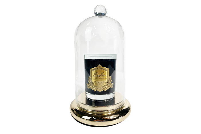côte noire ** NEW ** Glass Dome Cloche with Gold Base - DCSTG