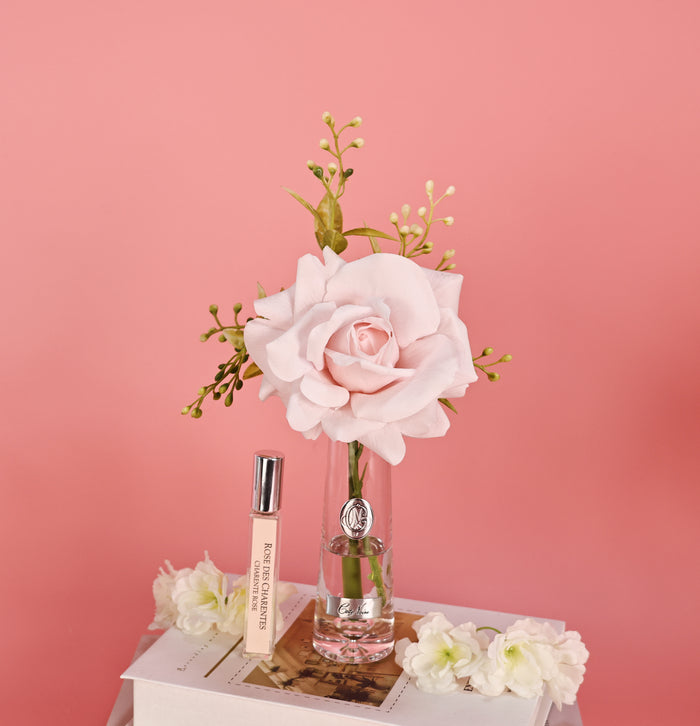 Côte Noire ** NEW ** Summer Rose French Pink - Gold Badge - SRG06