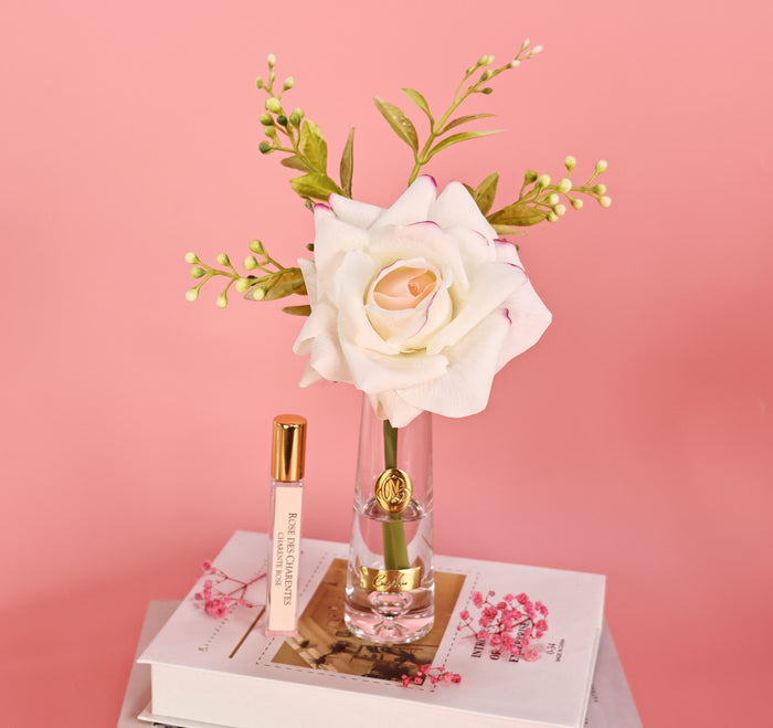 Côte Noire ** NEW ** Summer Rose Pink Blush - Gold Badge - SRG02