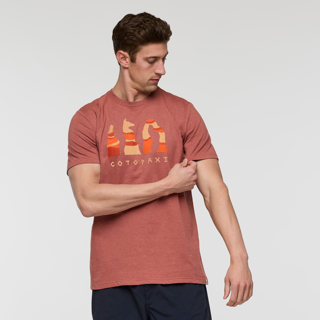 Cotopaxi Llama Hoodoo T-Shirt - Men's