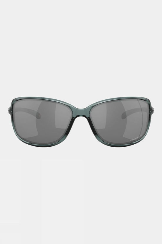 Cotswold Cohort Sunglasses
