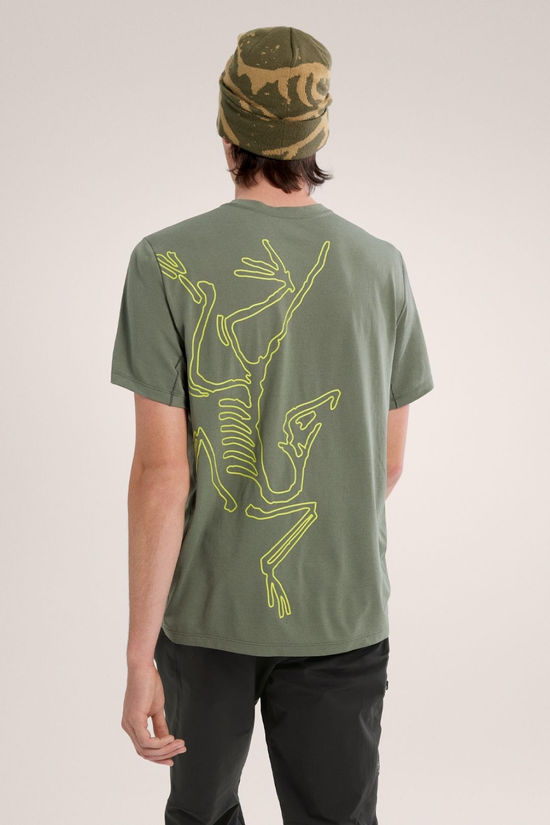 Cotswold Mens Cormac Arc'Bird Logo T-Shirt