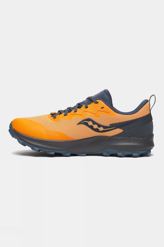 Mens Peregrine 14 GTX Shoes