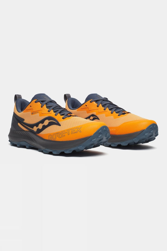 Mens Peregrine 14 GTX Shoes