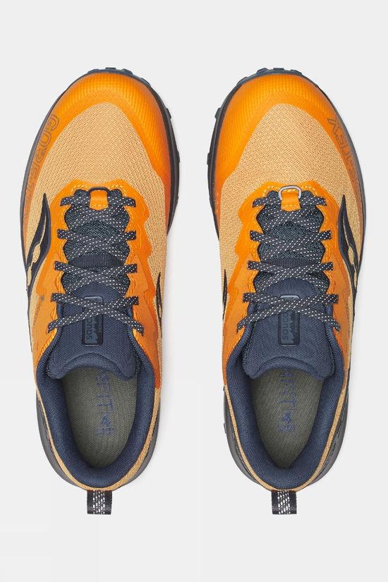Mens Peregrine 14 GTX Shoes