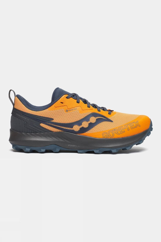 Mens Peregrine 14 GTX Shoes