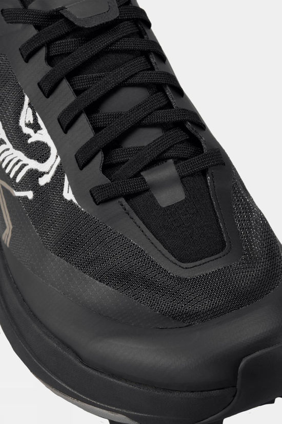 Cotswold Mens Sylan Pro Shoes