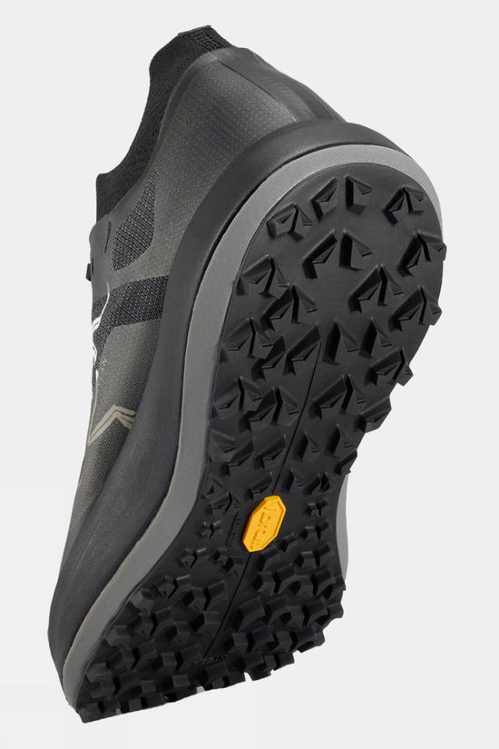 Cotswold Mens Sylan Pro Shoes