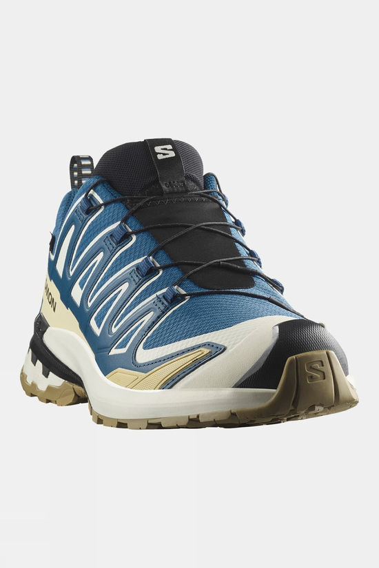 Cotswold Mens XA Pro 3D V9 GTX Shoes