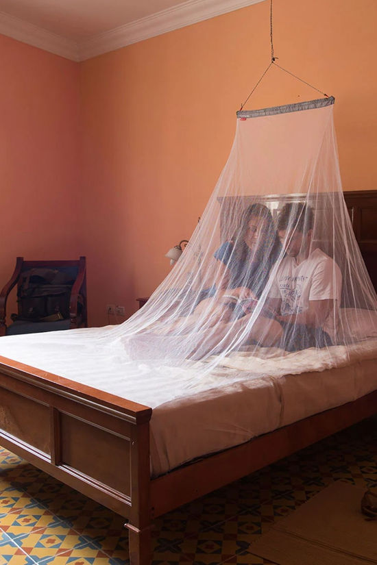 Cotswold Micronet Double Mosquito Net
