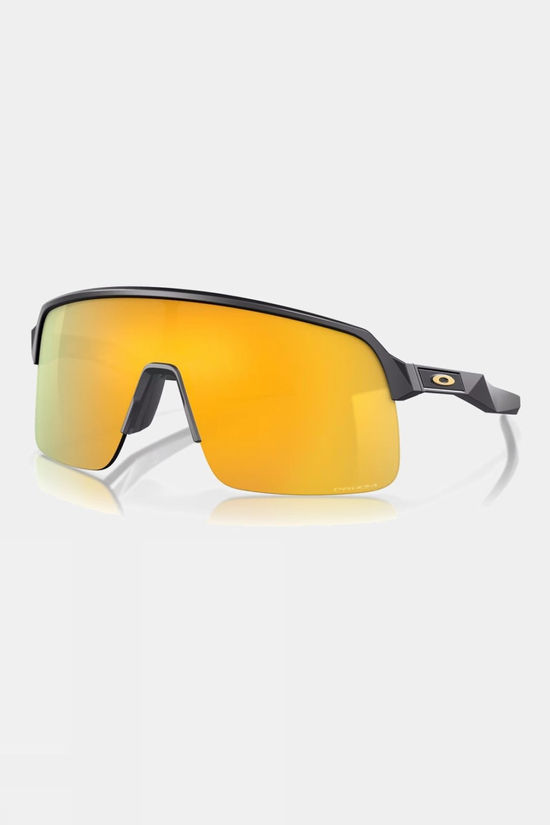 cotswold Sutro Lite Sunglasses