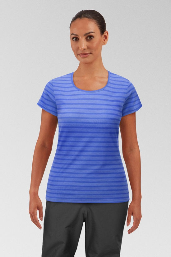 Cotswold Womens Groundup Stripe T-Shirt