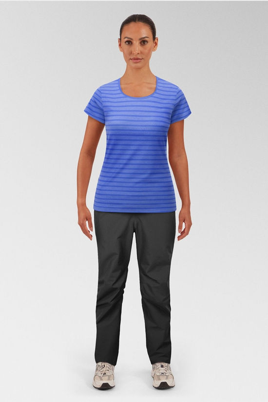 Cotswold Womens Groundup Stripe T-Shirt