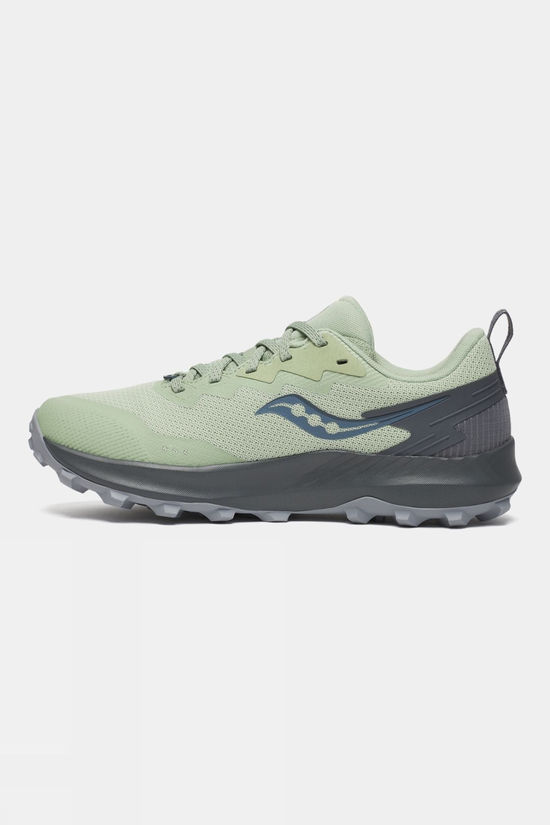 Womens Peregrine 14 GTX Shoes