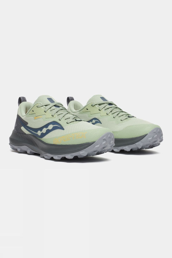 Womens Peregrine 14 GTX Shoes