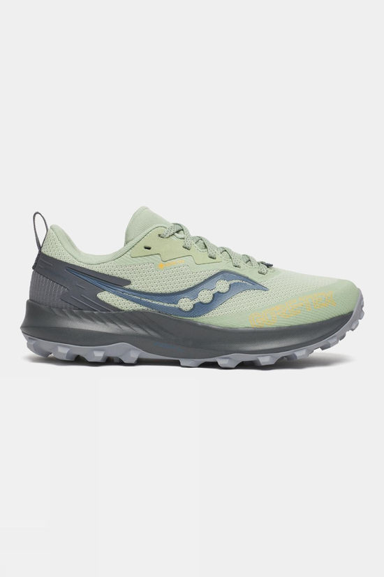 Womens Peregrine 14 GTX Shoes