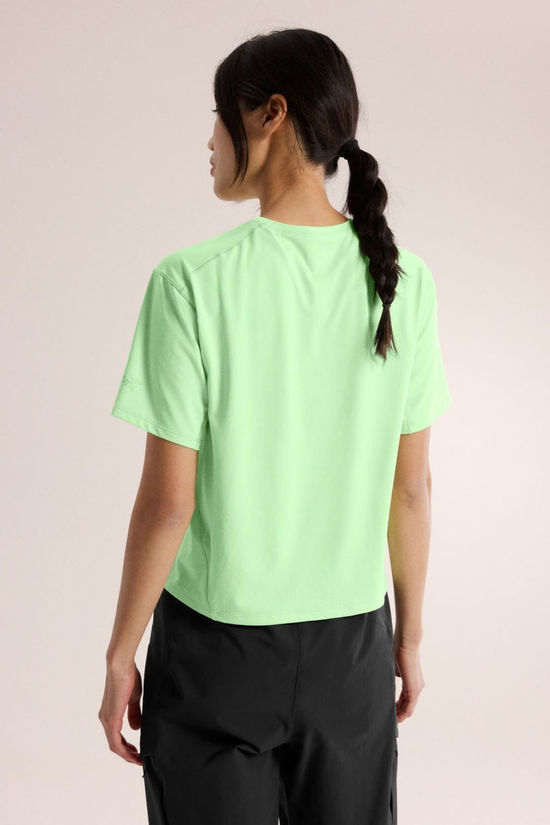 Cotswold Womens Taema Crop T-Shirt