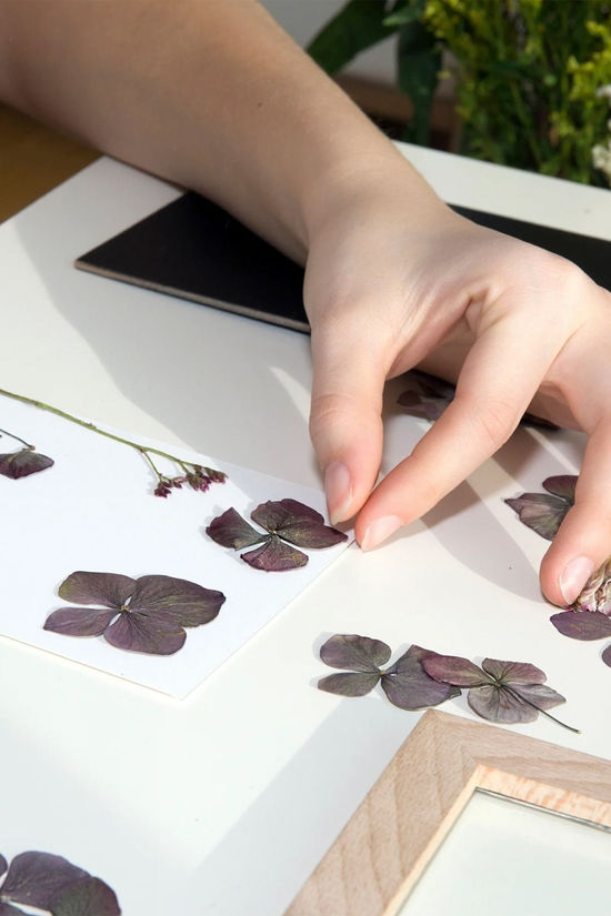 Cotswold Huckleberry Make Your Own Pressed Flower Frame Art Kit