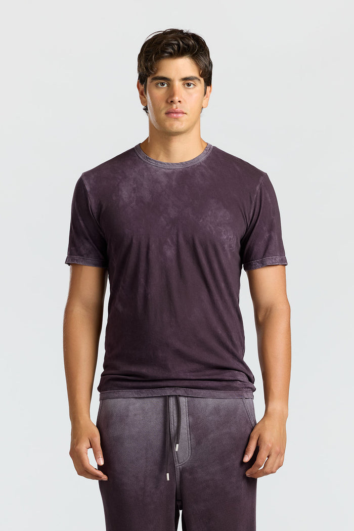 cotton citizen Classic Crewneck Tee Vintage Eggplant