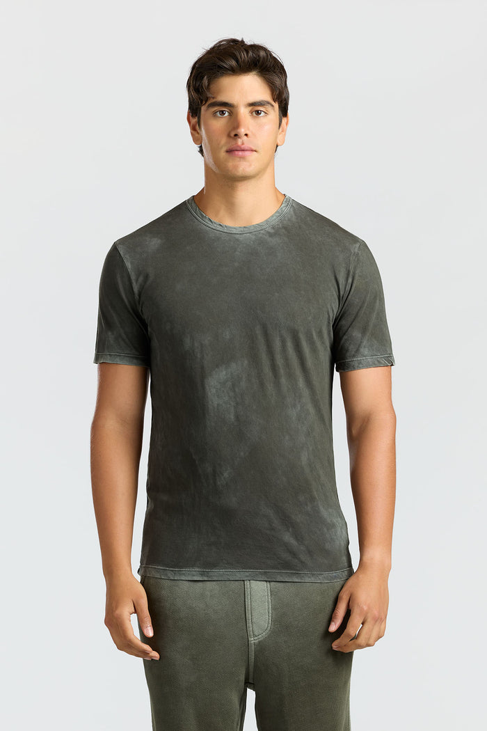 cotton citizen Classic Crewneck Tee Vintage Alpine