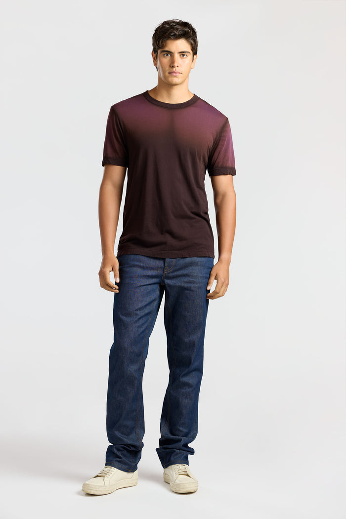 Cotton Citizen Prince Tee Eggplant Cast