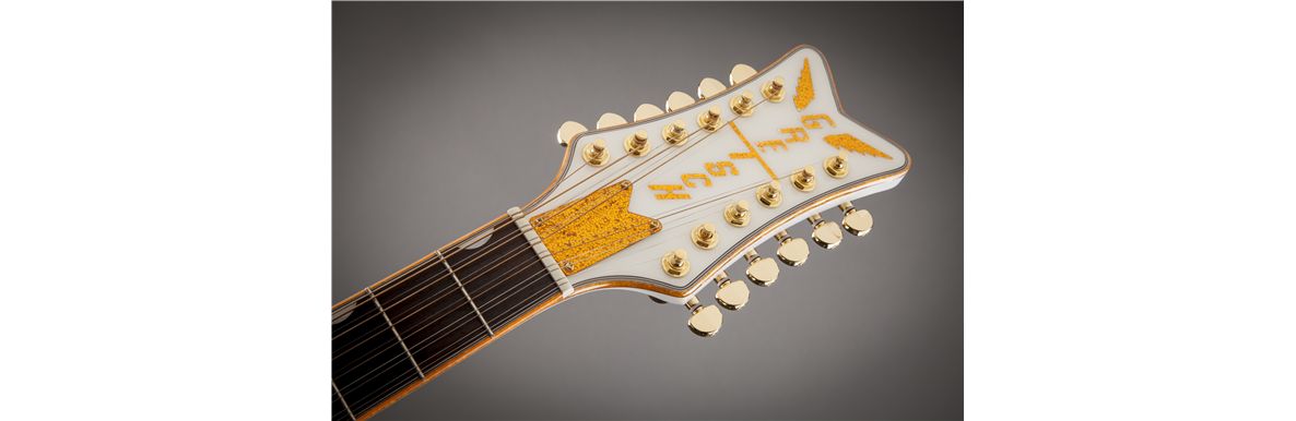 Country Gentleman G5022CWFE-12 Rancher™ Falcon™ Acoustic / Electric 12-String