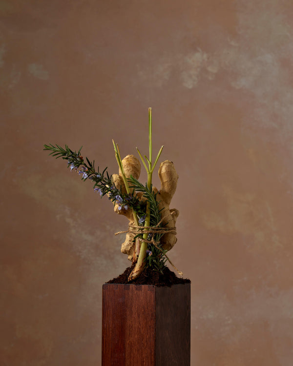 Cowshed Active Body Oil