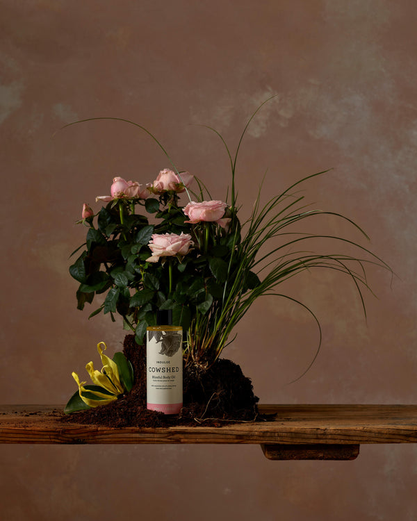 Cowshed Indulge Body Oil